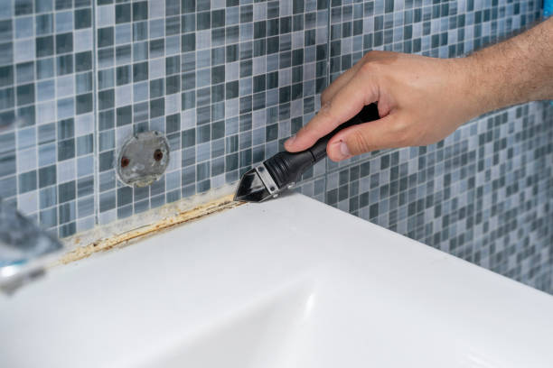 Best Mold Damage Repair  in Lewisport, KY